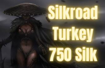 Silkroad Turkey 750 Silk
